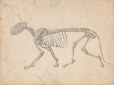  av George Stubbs