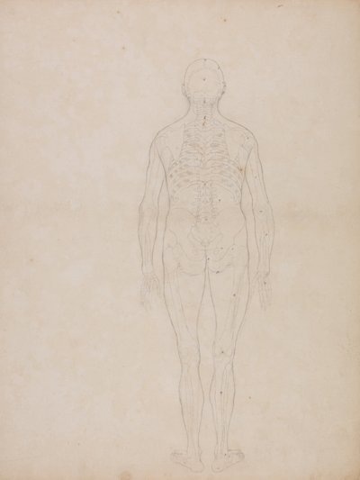  av George Stubbs