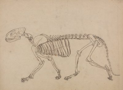  av George Stubbs