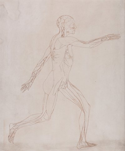  av George Stubbs