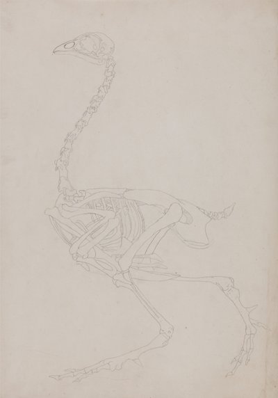 av George Stubbs