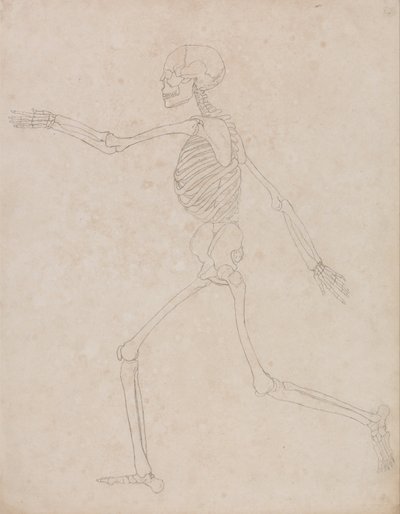  av George Stubbs