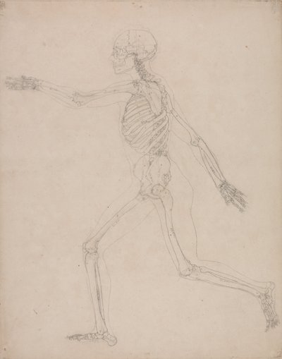  av George Stubbs