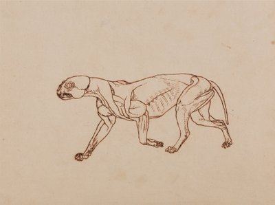  av George Stubbs