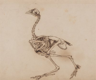  av George Stubbs