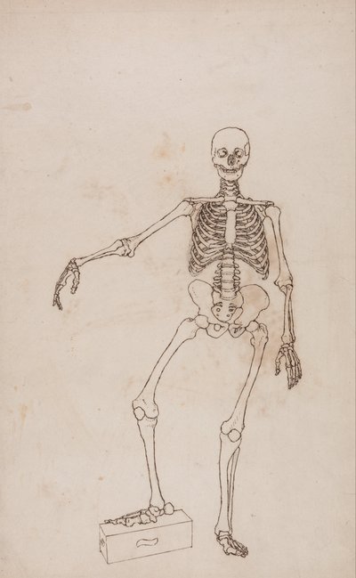  av George Stubbs