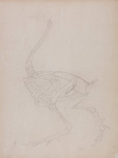 av George Stubbs