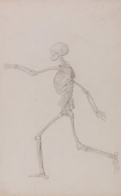  av George Stubbs