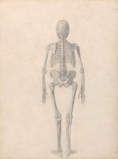 av George Stubbs