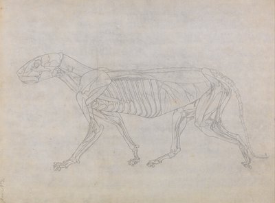  av George Stubbs