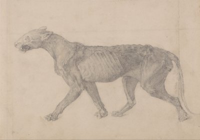  av George Stubbs