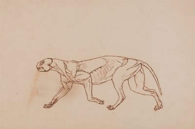  av George Stubbs
