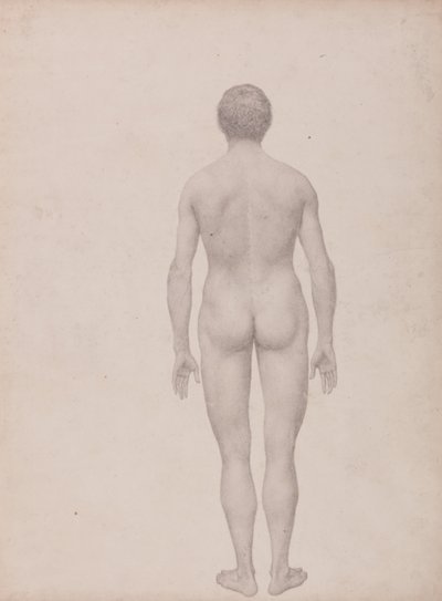  av George Stubbs