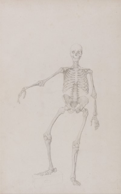  av George Stubbs