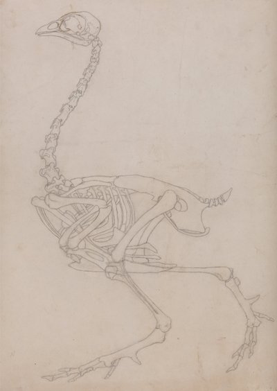  av George Stubbs