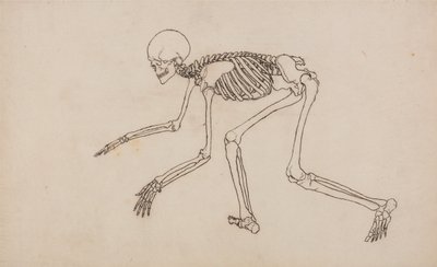  av George Stubbs