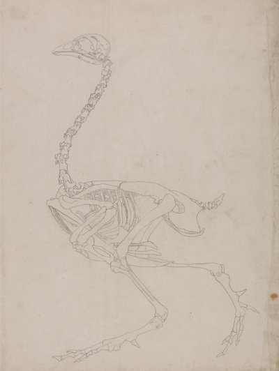  av George Stubbs