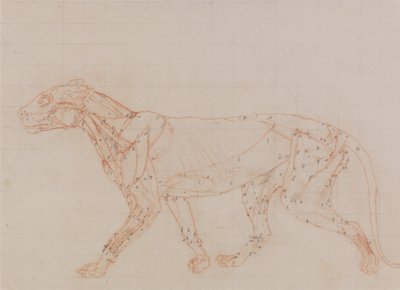  av George Stubbs