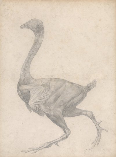  av George Stubbs