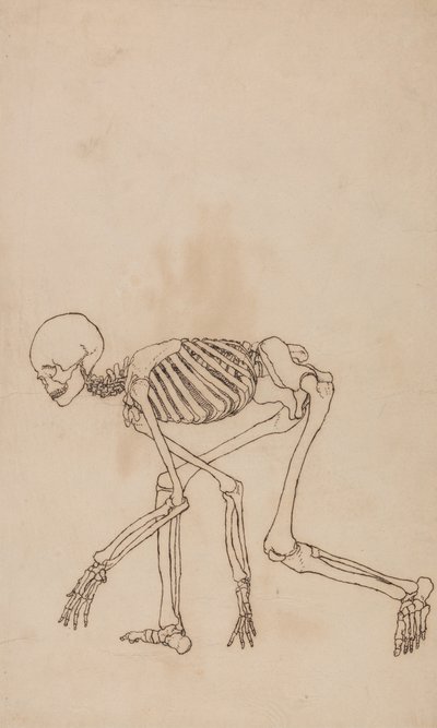  av George Stubbs