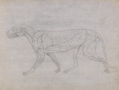  av George Stubbs