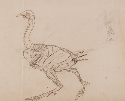  av George Stubbs