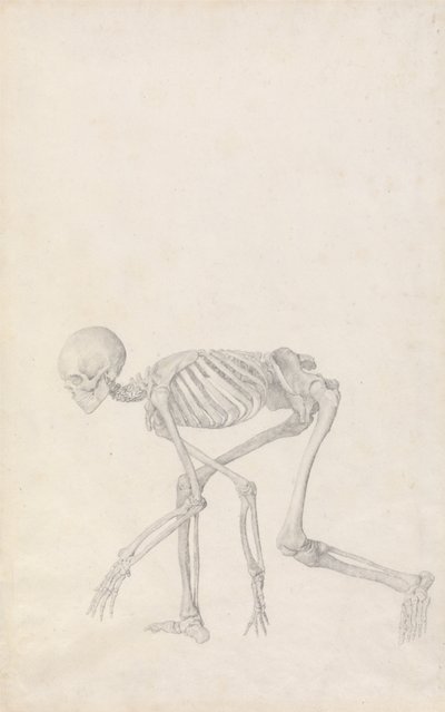  av George Stubbs