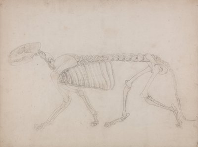  av George Stubbs
