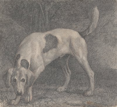 En revehund på duften av George Stubbs