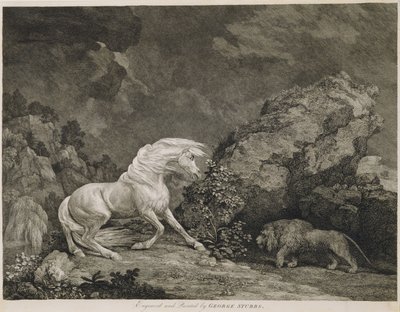 En hest skremt av en løve, gravert av kunstneren av George Stubbs