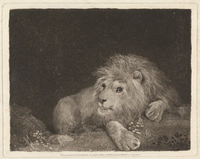 En løve [En liggende løve] av George Stubbs