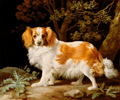 En lever og hvit King Charles Spaniel i et skogkledd landskap av George Stubbs