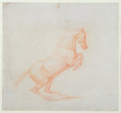 En prancing Horse, vendt mot høyre, 1790 (rødt kritt på papir) av George Stubbs
