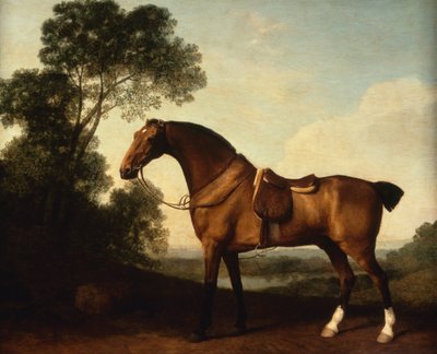  av George Stubbs