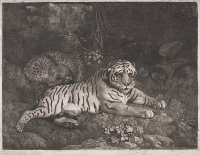 En tiger og en sovende leopard av George Stubbs