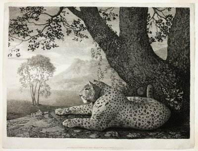 En Tyger (en liggende leopard ved et tre) av George Stubbs