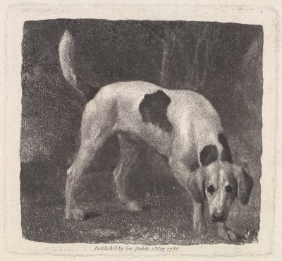 Dog (A Foxhound on the Scent) gravert av kunstneren, pub. 1788 av George Stubbs