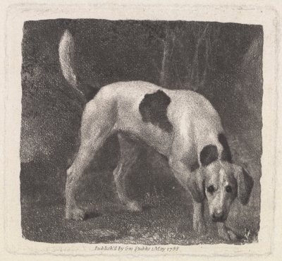 Hund [En revehund på duften] av George Stubbs
