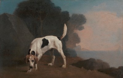 Revehund av George Stubbs