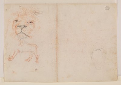 Hodet til en løve, verso, 1700- eller 1800-tallet av George Stubbs