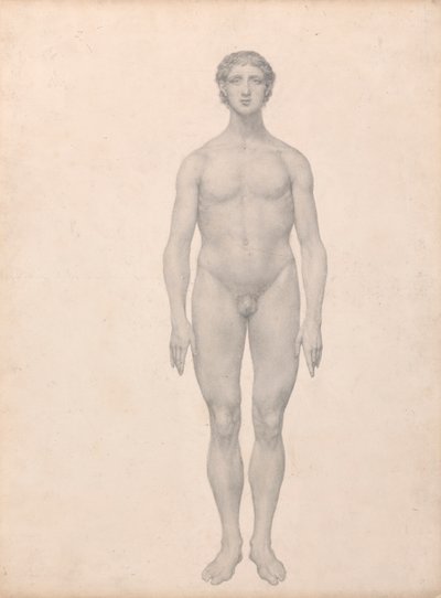 Menneskelig figur, sett forfra, udissert (ferdig studie for tabell VI) av George Stubbs