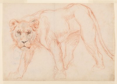 Lioness prowling, recto, 1700- eller 1800-tallet av George Stubbs