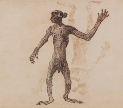 Monkey Stående, Forfra av George Stubbs