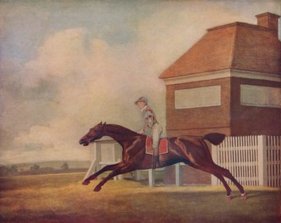 Mr. Ogilvys Bay Racehorse Trentham på Newmarket med Jockey up, 1771 av George Stubbs