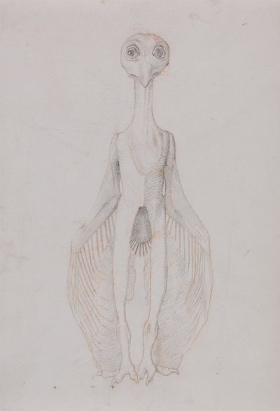 Ugle Stående, Forfra av George Stubbs
