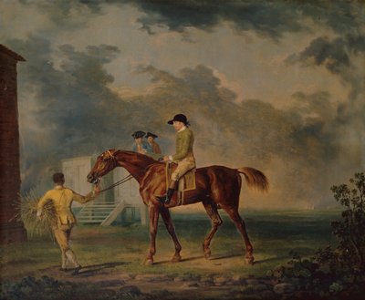 Sir Salomon, A Bay Racehorse with J.Singleton, Newmarket (olje på lerret) av George Stubbs