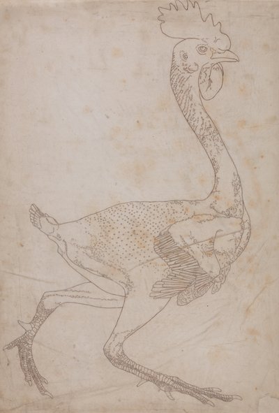 Studie av en fugl, sideutsikt, fra en sammenlignende anatomisk utstilling av strukturen til menneskekroppen med den til en tiger og en fugl, 1795-1806 (grafitt og rødt kritt på papir) av George Stubbs