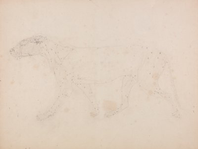 Studie av en tiger, sideutsikt, fra en sammenlignende anatomisk utstilling av strukturen til menneskekroppen med den til en tiger og en fugl, 1795-1806 (grafitt på vevd papir) av George Stubbs