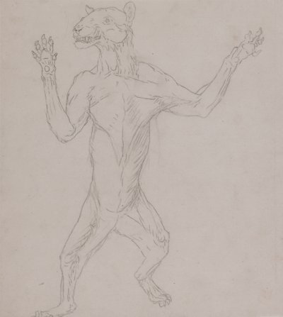 Studie av en tiger, stående i menneskelig holdning, fra en sammenlignende anatomisk utstilling av strukturen til menneskekroppen med den til en tiger og en fugl, 1795-1806 (grafitt på tynt vevd papir) av George Stubbs