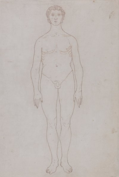 Studie av den menneskelige figuren, anterior view (konturtegning for tabell VI) av George Stubbs